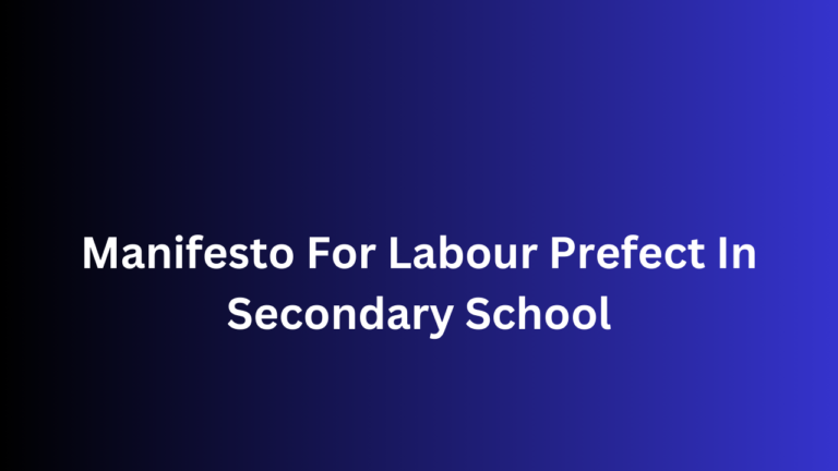 Manifesto For Labour Prefect In Secondary School - Techwaya