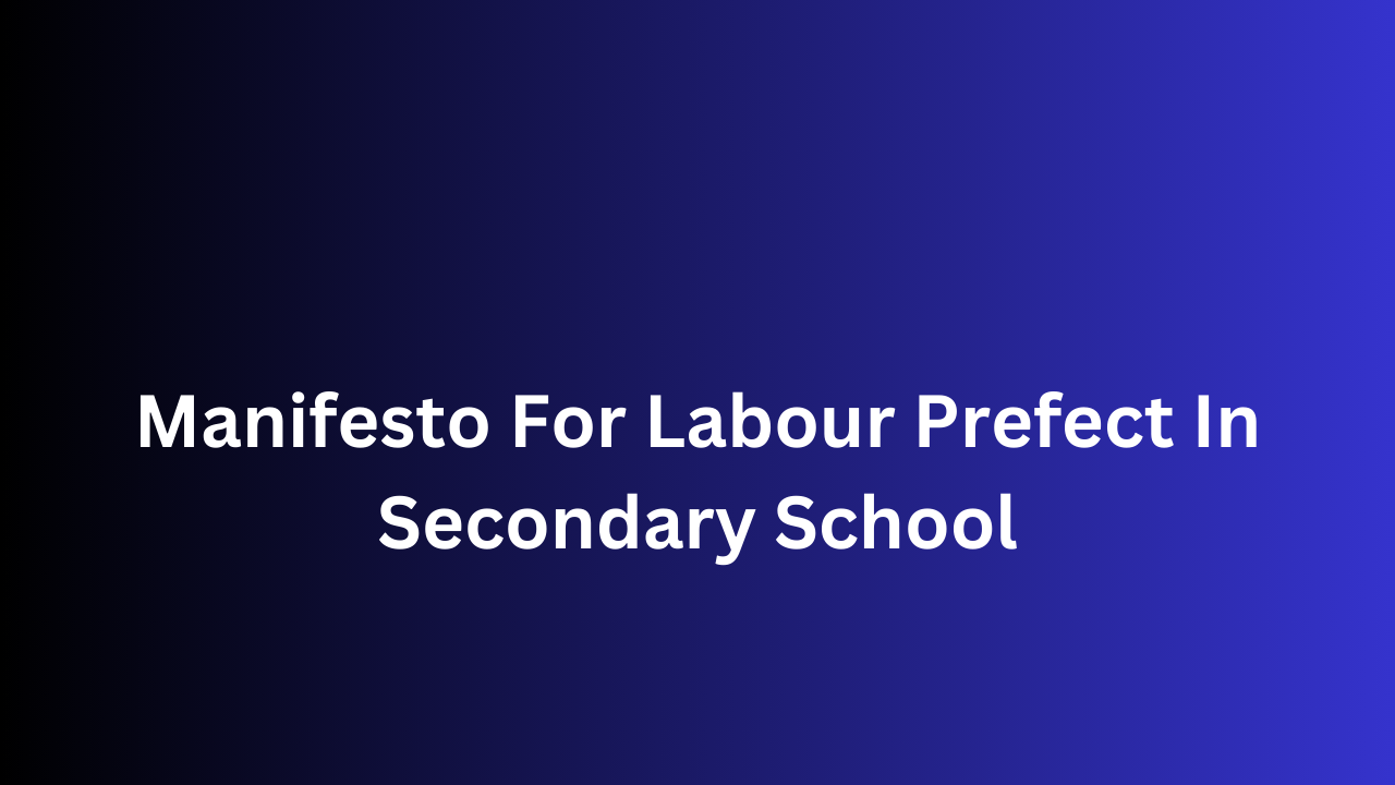 Manifesto For Labour Prefect In Secondary School